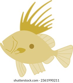 john dory dory Zeus faber ocean fish