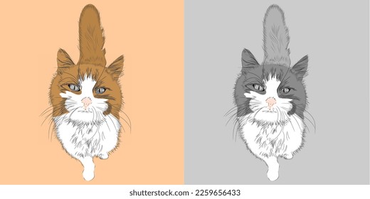  John street cat illustration in 2 colors.