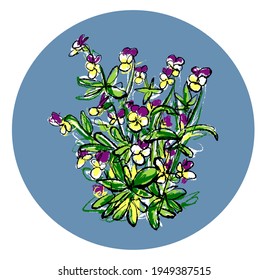 Johnny Jump Up Pansy Flowers, viola. Vektor, art.