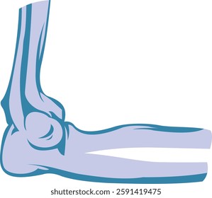   Joint Bone   illustration with isolated background  