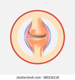 the joint in osteoarthritis