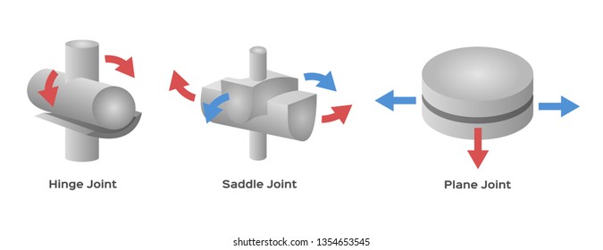 Joint Type Vector