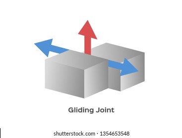 joint type vector