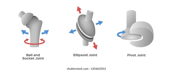 Joint Type Vector