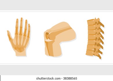 Joints