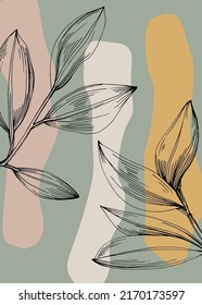 Jojoba Abstract Hand Painted Illustrations for Wall Decoration, Postcard, Social Media Banner, Brochure Cover Design Background. Modern Abstract Painting Artwork. Vector Pattern