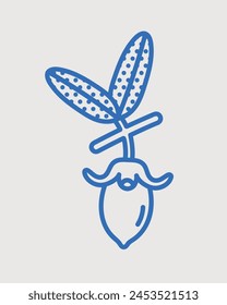 Jojoba branch with fruit. Line art, retro. Plants and herbs for cosmetics.