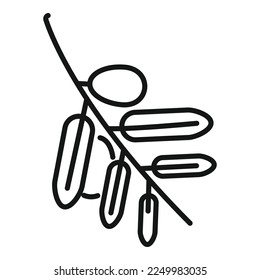Jojoba branch icon outline vector. Oil seed. Plant aroma