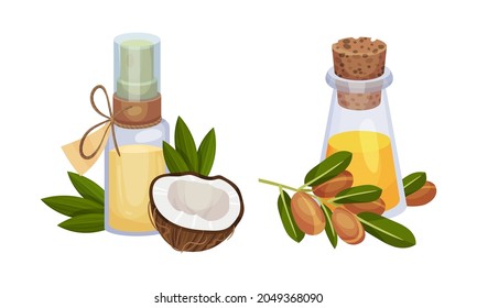 Jojoba and Coconut Organic Oil in Jar with Green Foliage Vector Set