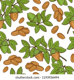 Jojoba. Fruit, sheet, branch. Background, wallpaper, seamless. Sketch. Color