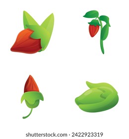 Jojoba icons set cartoon vector. Jojoba branch with nut and leaf. Cosmetic ingredient