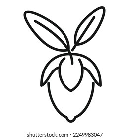 Jojoba leaf icon outline vector. Aroma herb. Glass medicine