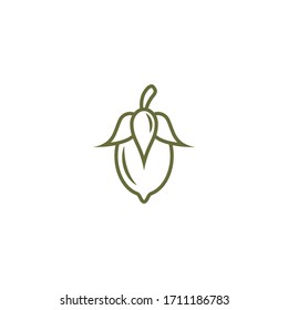 Jojoba nut green icon. beauty and cosmetics oil. Cosmetic ingredient. Nutritional oil for skin care. Vector flat illustration isolated on white. 