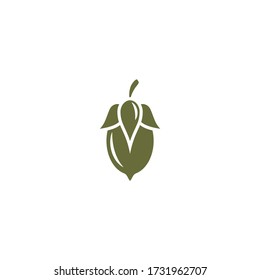 Jojoba nut green icon. beauty and cosmetics oil. Cosmetic ingredient. Nutritional oil for skin care. Vector flat illustration isolated on white. 