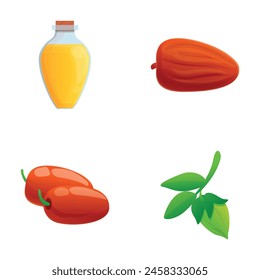 Jojoba nut icons set cartoon vector. Jojoba branch, nut and organic oil. Cosmetic ingredient