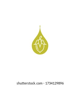 Jojoba nut with oil drop icon. beauty and cosmetics oil. Cosmetic ingredient. Nutritional oil for skin care. Vector flat illustration isolated on white. 