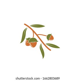 plantilla de diseño de ilustraciones vectoriales de jojoba