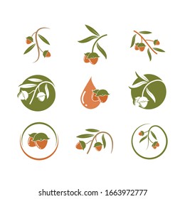 plantilla de diseño de ilustraciones vectoriales de jojoba