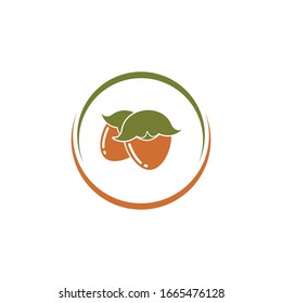 jojoba nuts vector illustration design template
