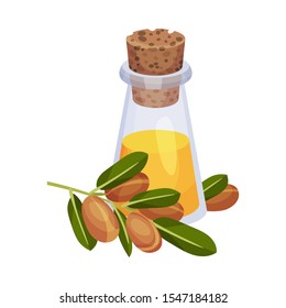 Jojoba Oil Bottle with Label and Jojoba Branch Next to It Vector Illustration