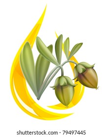 Jojoba oil. Stylized drop. Vector illustration on white background.