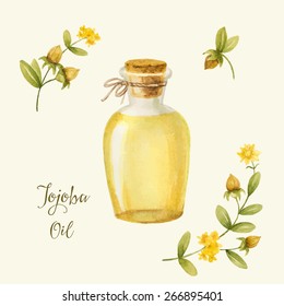 Jojoba Oil, Watercolor Vector Image, A Medicinal Plant.A Healthy Life.