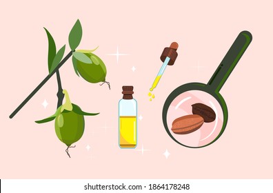 Jojoba oil,seeds and leaves with magnifier.Plant extract for cosmetology.Elixir or serum,lotion for hair and nails.Powerful antioxidant.Vector doodle illustration for herbal medicine.Spa products