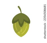Jojoba plant icon flat vector. Seed oil. Leaf herb isolated