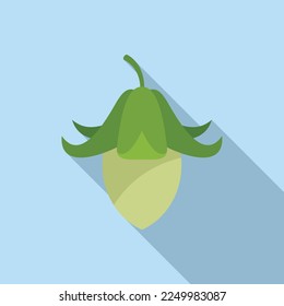 Jojoba seed icon flat vector. Aroma plant. Medicine glass
