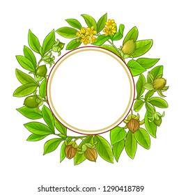 jojoba vector frame