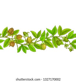 jojoba vector pattern