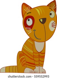 Jokes cat looking at your ad. Red cat sitting on his haunches and smiling.