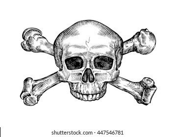 Jolly roger. Hand drawn human skull and crossbones. Sketch vector illustration