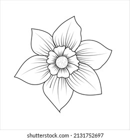 jonquil outline flower. Vector illustration