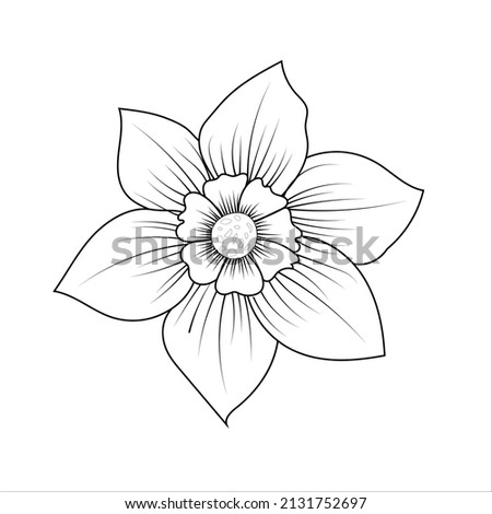 Similar – Image, Stock Photo jonquils flowers Spring