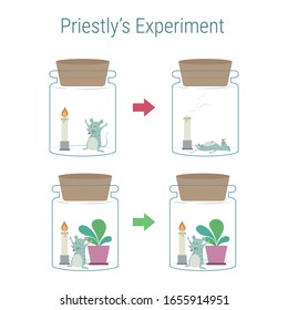 Joseph Priestley's Experiment. Mouse, Fire, And Plant Experiment About Oxygen. Photosynthesis Phenomenon Of Plant. Photosynthesis Phenomenon Of Plant Experiment.