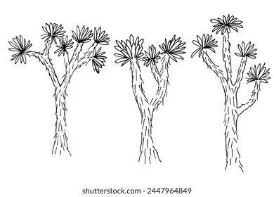 Joshua tree ink sketch hand drawn vector illustration on isolated background. Minimalist line art of yucca plant, desert nature of American southwest. Design element for card, label, logo, paper, sign