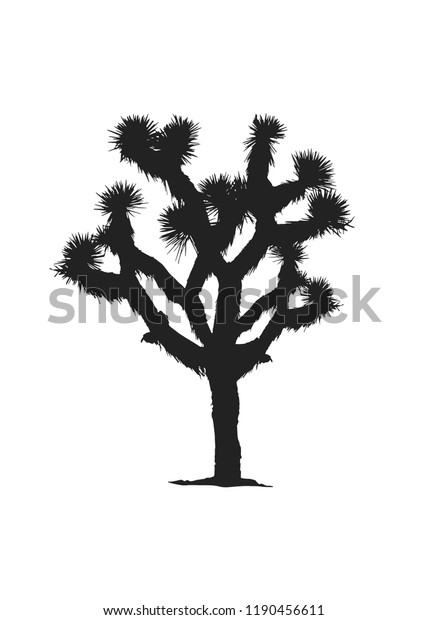 Joshua Tree Nature Plant Isolated Vector Stock Vector Royalty Free