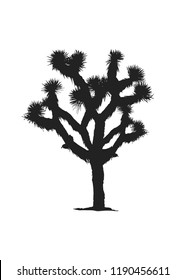 Joshua Tree Illustration Images Stock Photos Vectors Shutterstock