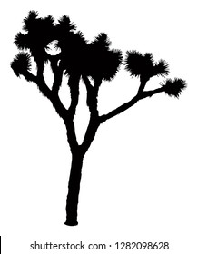 Joshua Tree Illustration Images Stock Photos Vectors Shutterstock