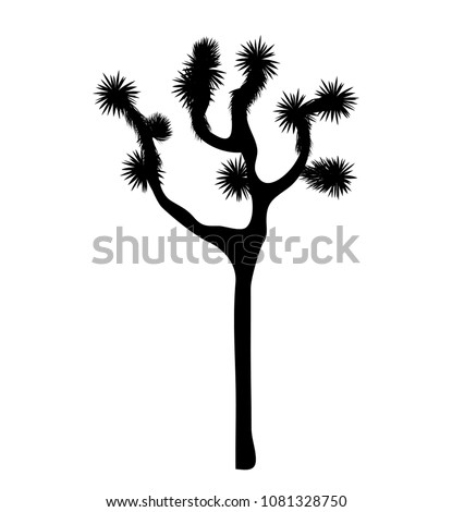 Joshua tree vector isolated on white background. Desigh element with Yucca brevifolia slim and black silhouette.