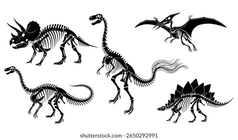 A Journey Through Time Exploring the Skeletons of Prehistoric Creatures and Dinosaur Fossils