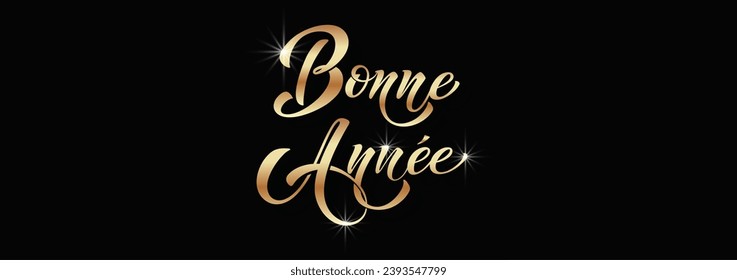 Joyeux noel and Bonee Annee. Merry Christmas card template with greetings in French. Hand drawn lettering. Premium vector illustration with typographic text for Merry Christmas card design