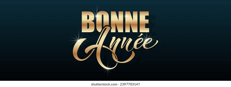 Joyeux noel and Bonee Annee. Merry Christmas card template with greetings in French. Hand drawn lettering. Premium vector illustration with typographic text for Merry Christmas card design