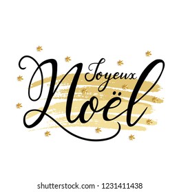Joyeux Noel. French Merry Christmas. Vector hand drawn holiday lettering
