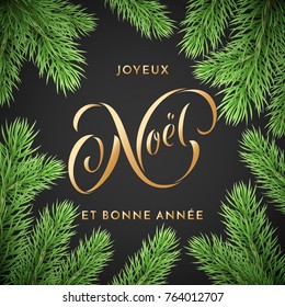 Joyeux Noel French Merry Christmas and Bonne Annee New Year holiday golden hand drawn quote calligraphy greeting card on Christmas wreath ornament background template. Vector New Year decoration