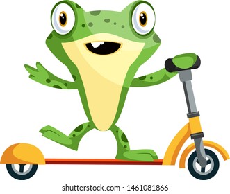 Joyful baby frog riding