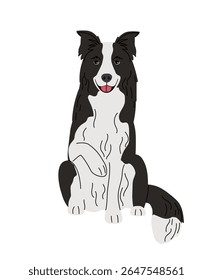 Joyful border collie dog sits with his paw raised original artwork