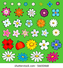 joyful flowers