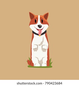 Joyful red-haired corgi standing on hind legs. Puppy with tongue hanging out. Cartoon domestic animal character with black collar. Human s best friend. Flat vector design